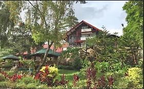 Log Cabin Hotel - Baguio